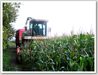 Agricultural Contractors Contract / Share Farming