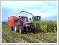Agricultural Contractors Silage Making