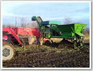 Contract / Share Farming / Farm Business Tenancies