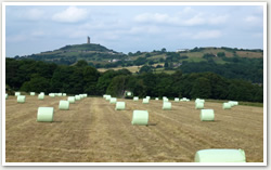 Haylage Supplies Yorkshire